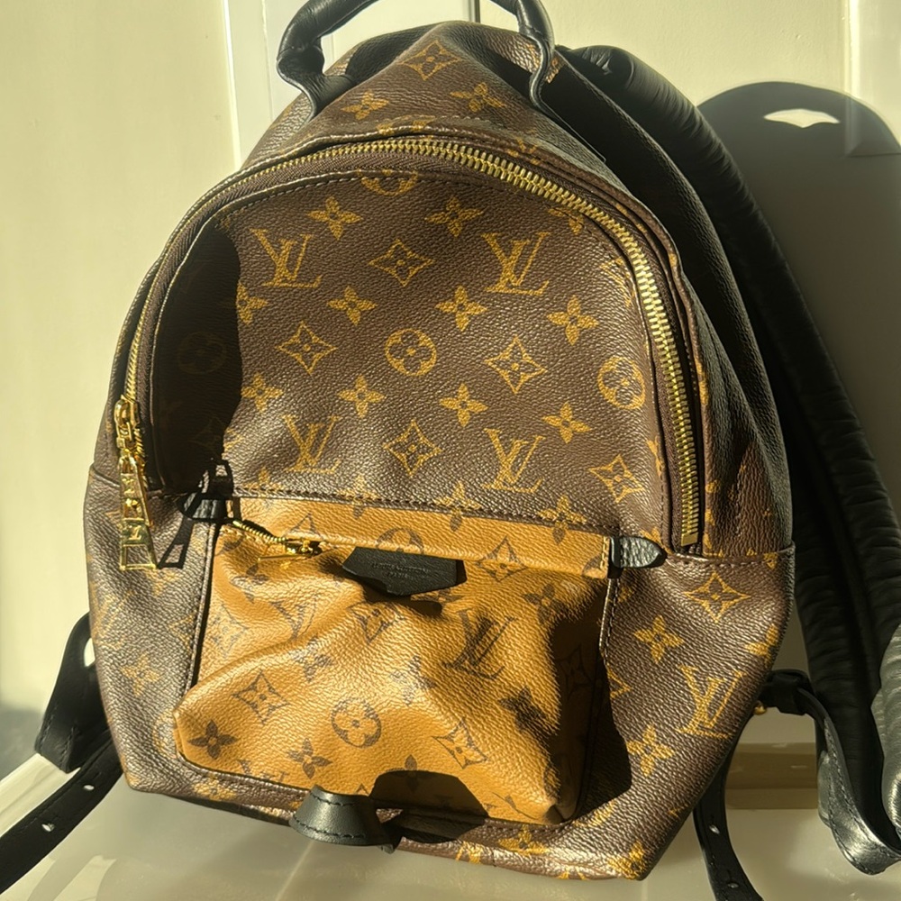 Authentic Louis Vuitton Palm Springs PM backpack